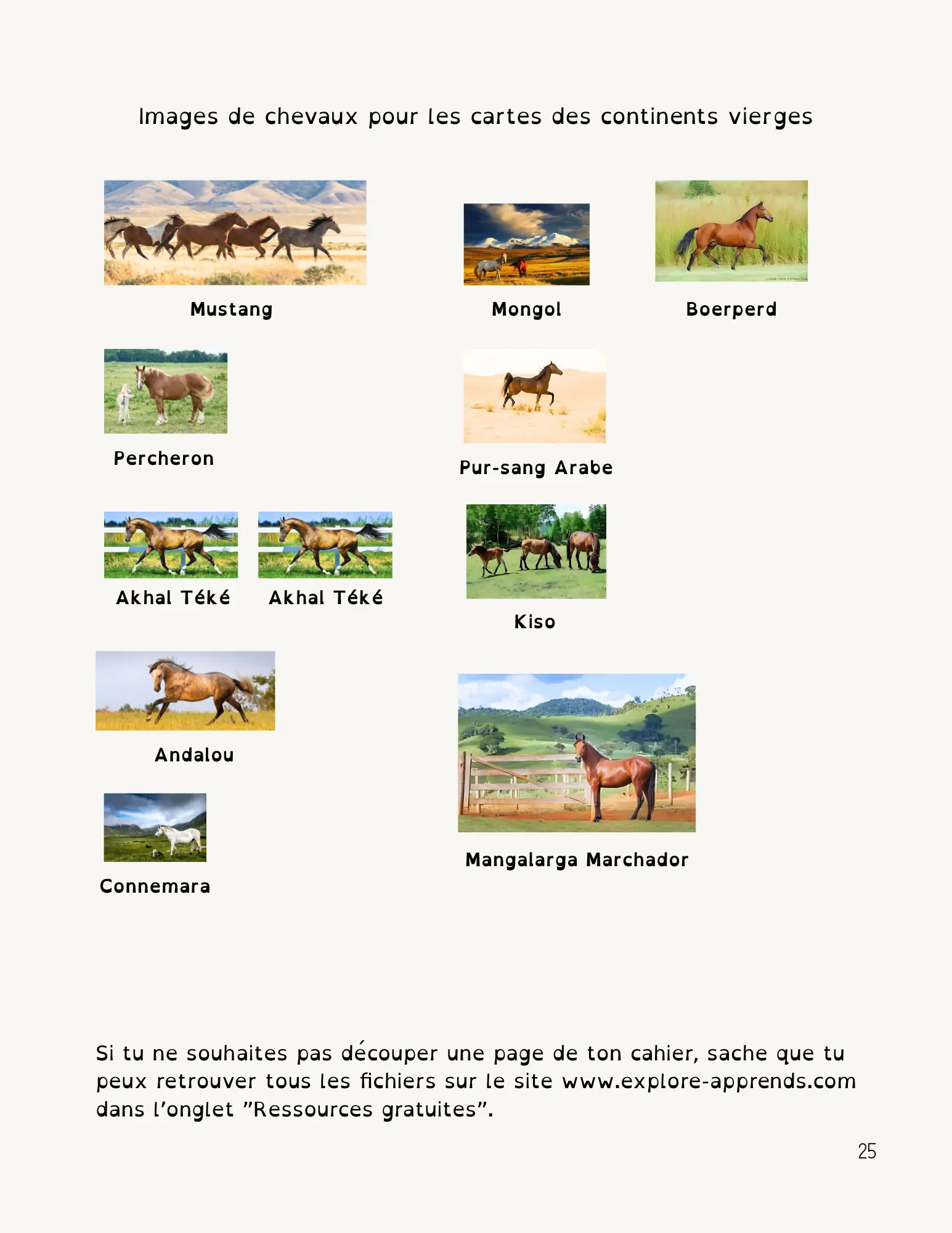 Page 25